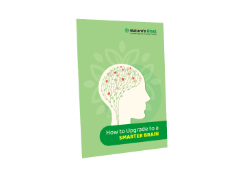 How to upgrade to a smarter brain