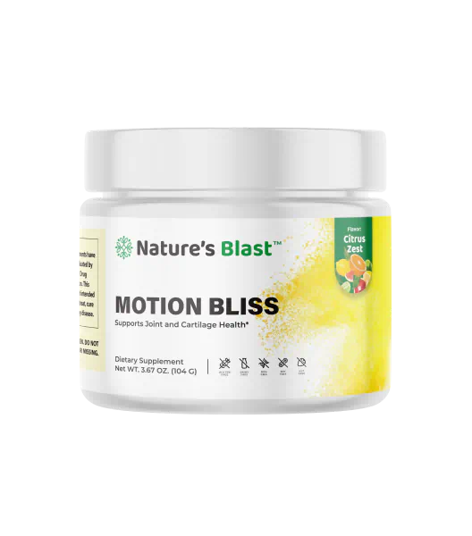 Motion Bliss Reviews