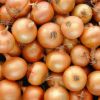 ingredient icon